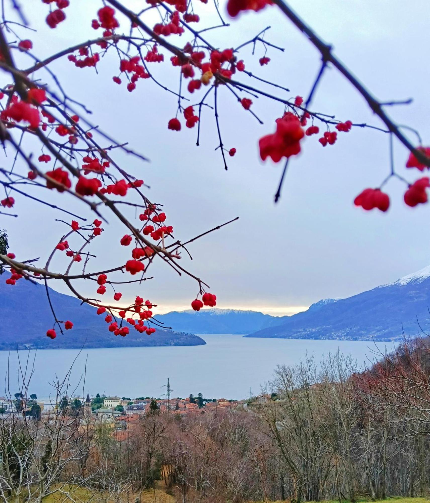 Lake Como Borgo Vignola Cremia Exterior foto